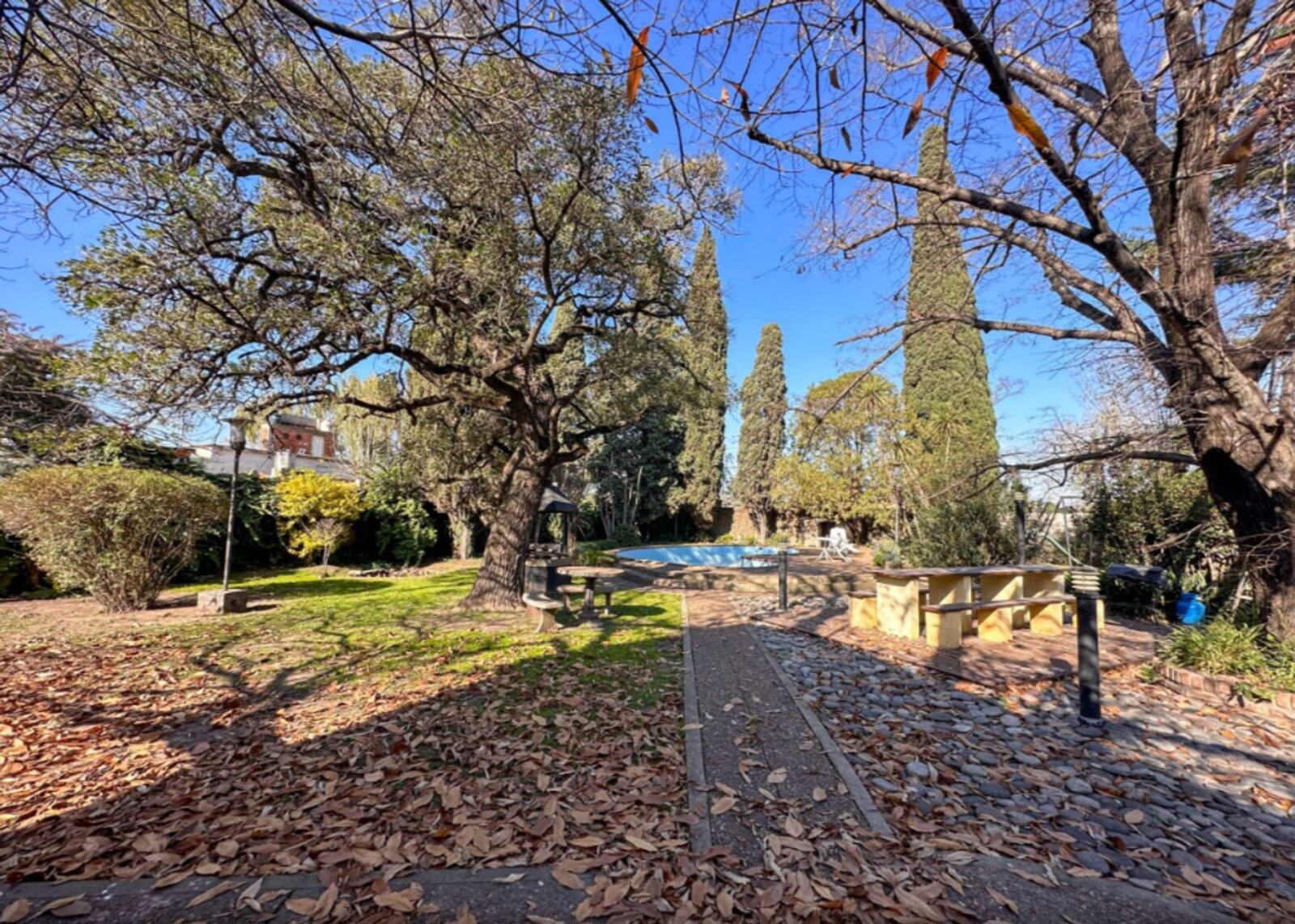 image 33