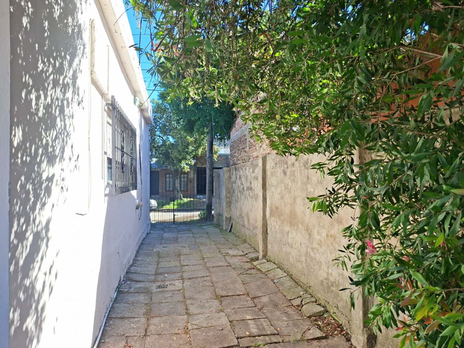 image 16