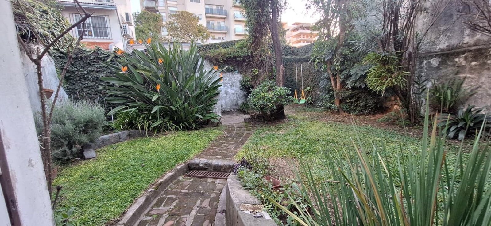 image 18