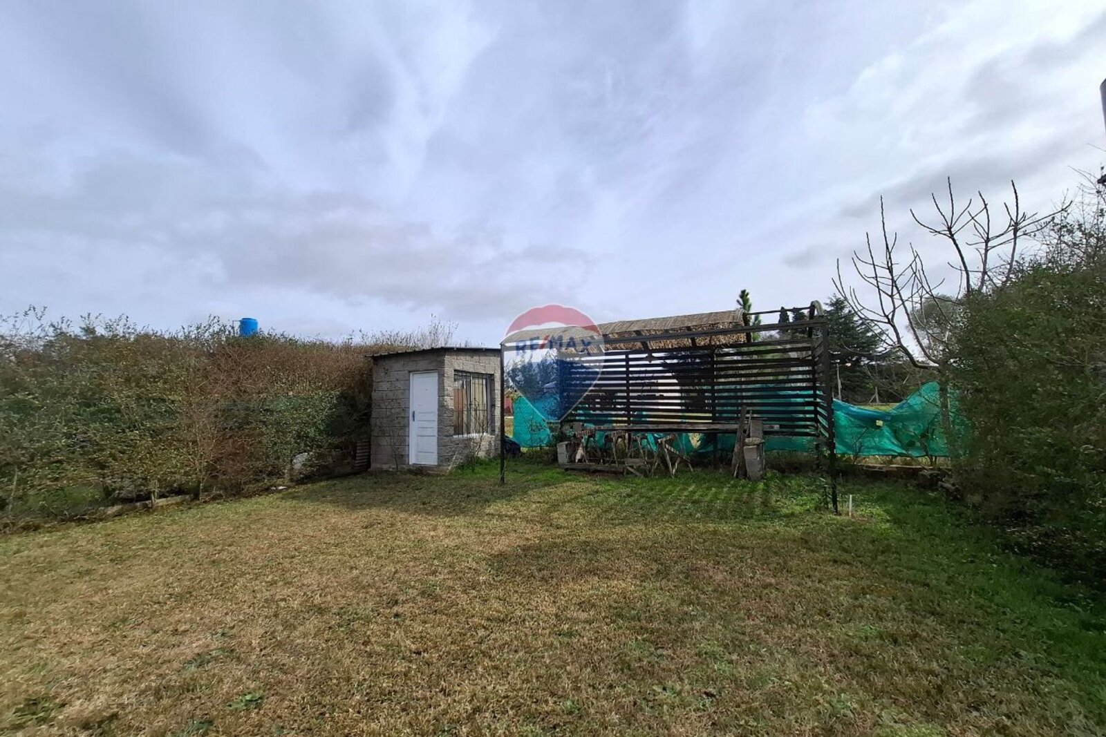 image 29