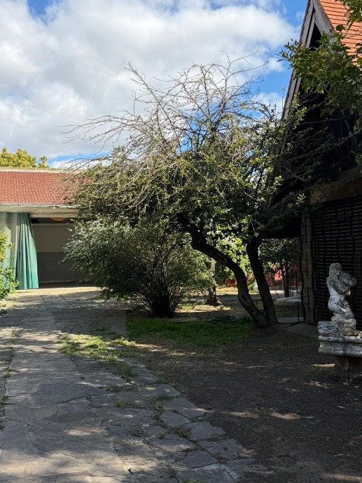 image 23