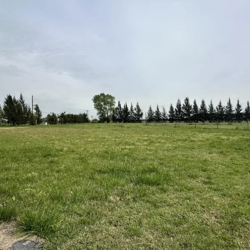 1791390246.jpg