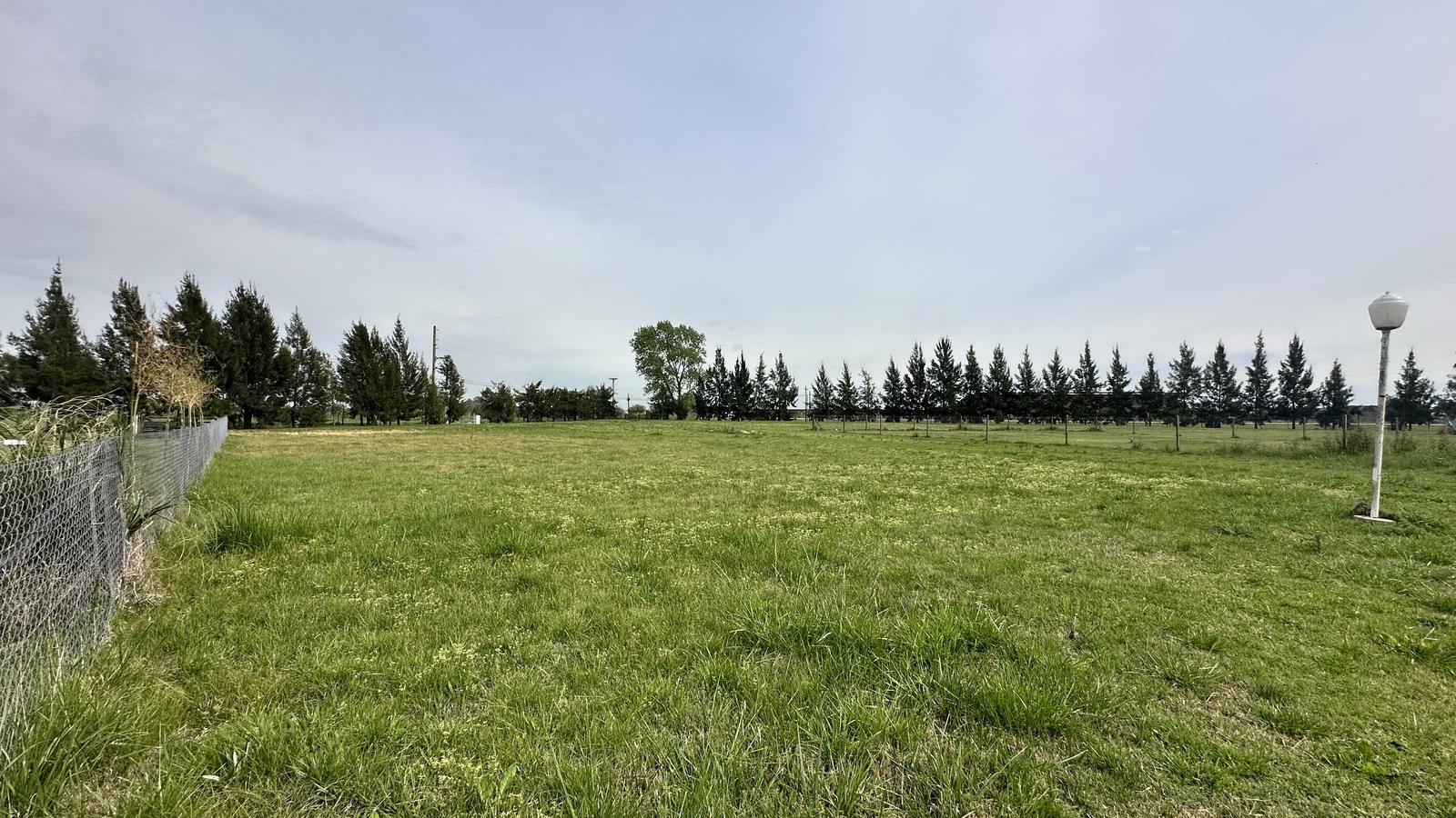image 14