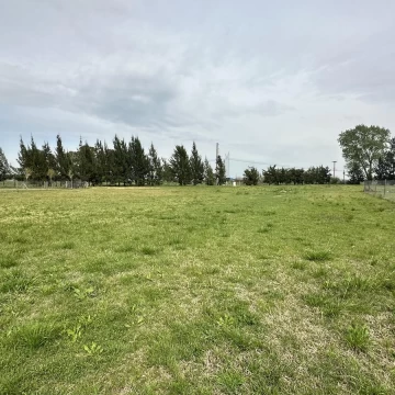 1791390248.jpg