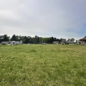 1791390248.jpg