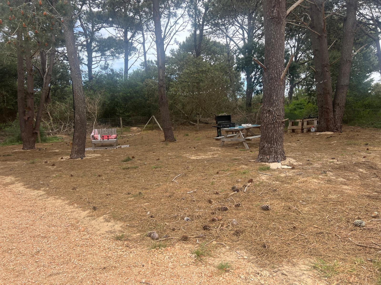 image 47