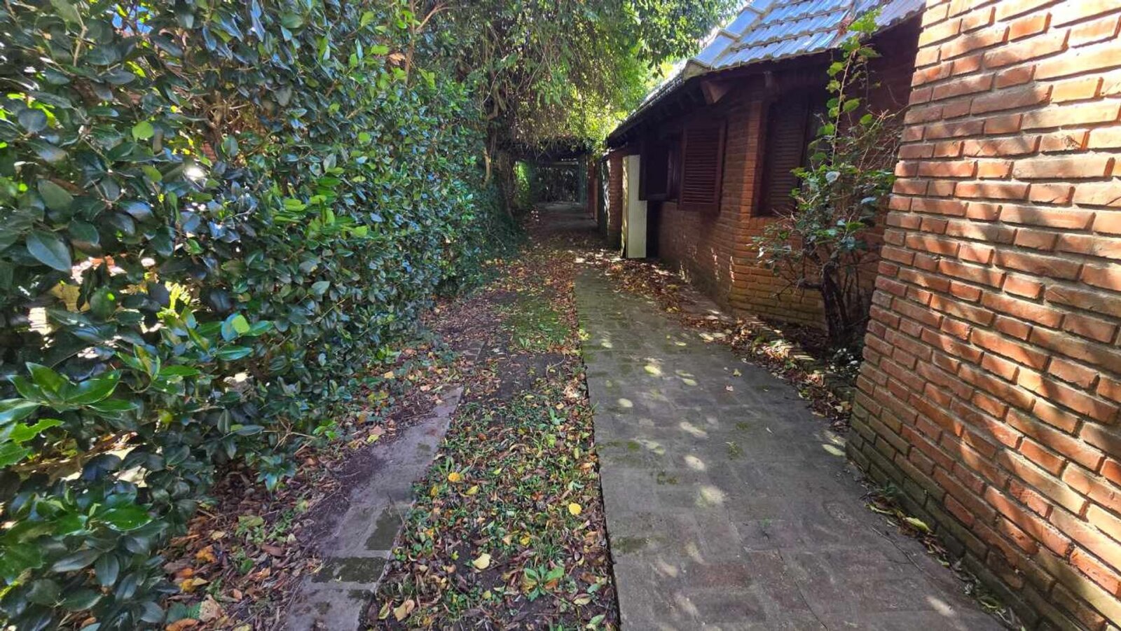 image 25