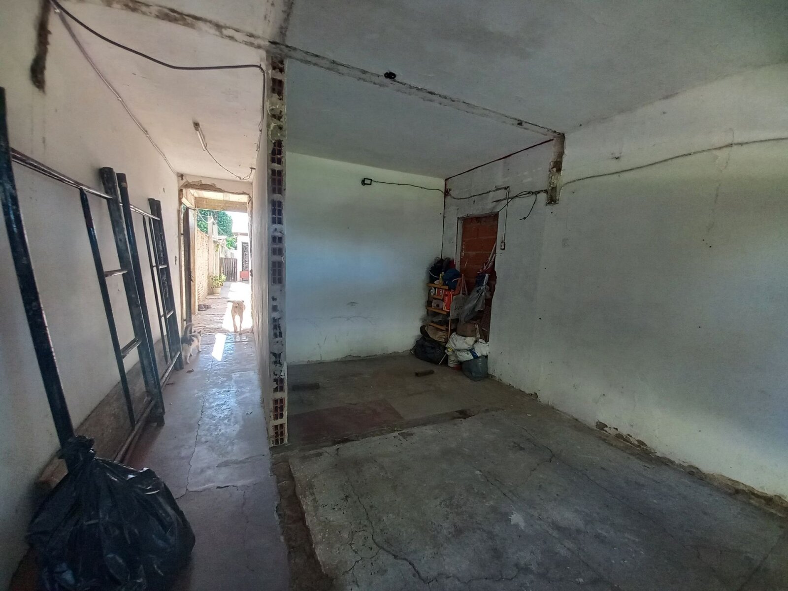 image 15