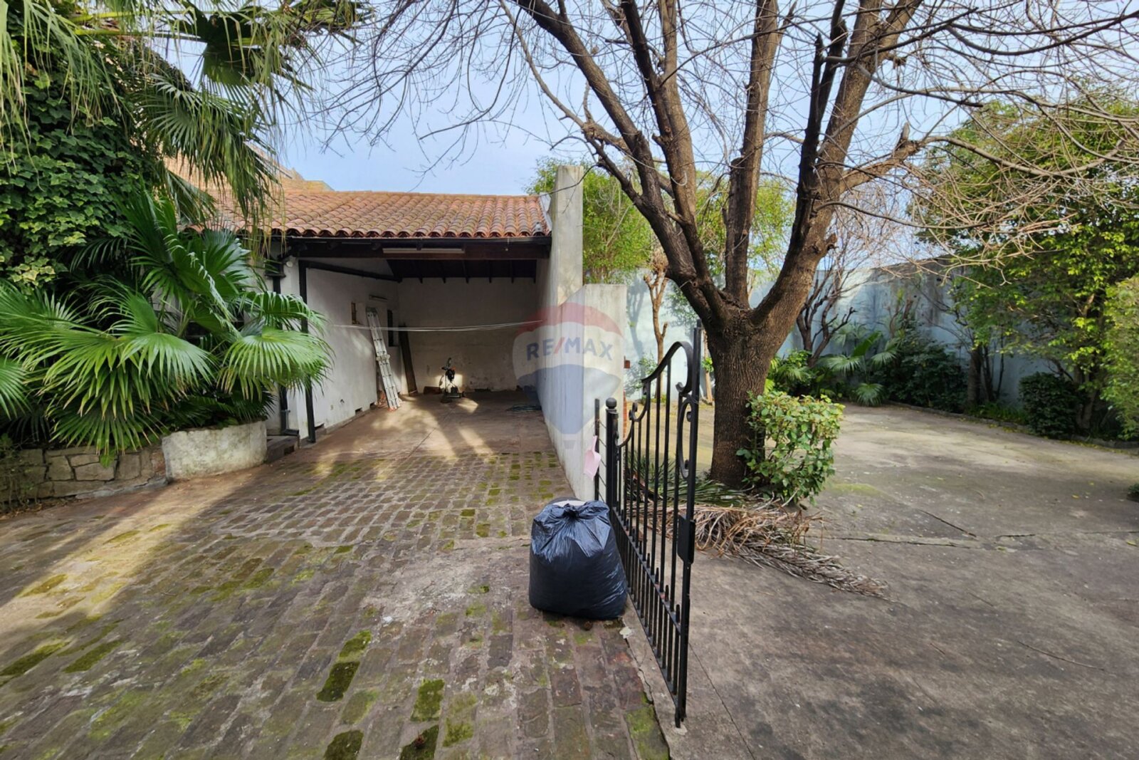 image 41