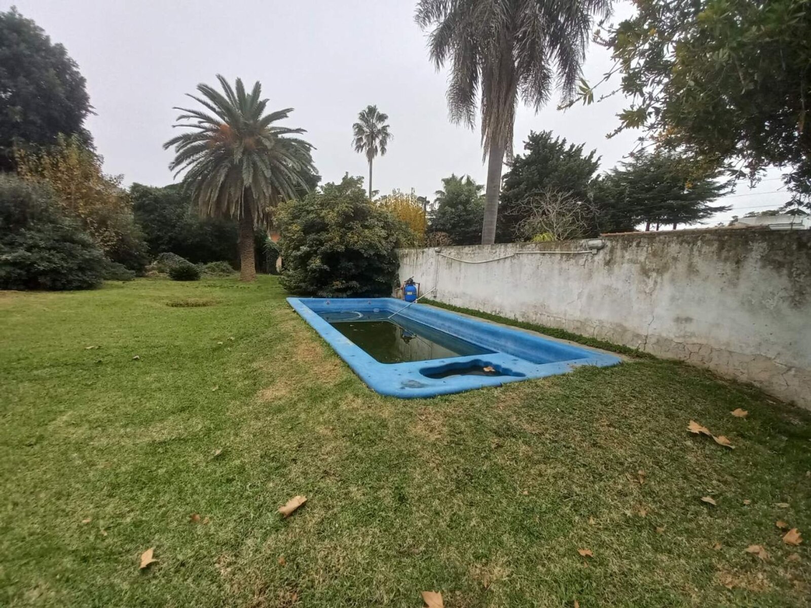 image 29
