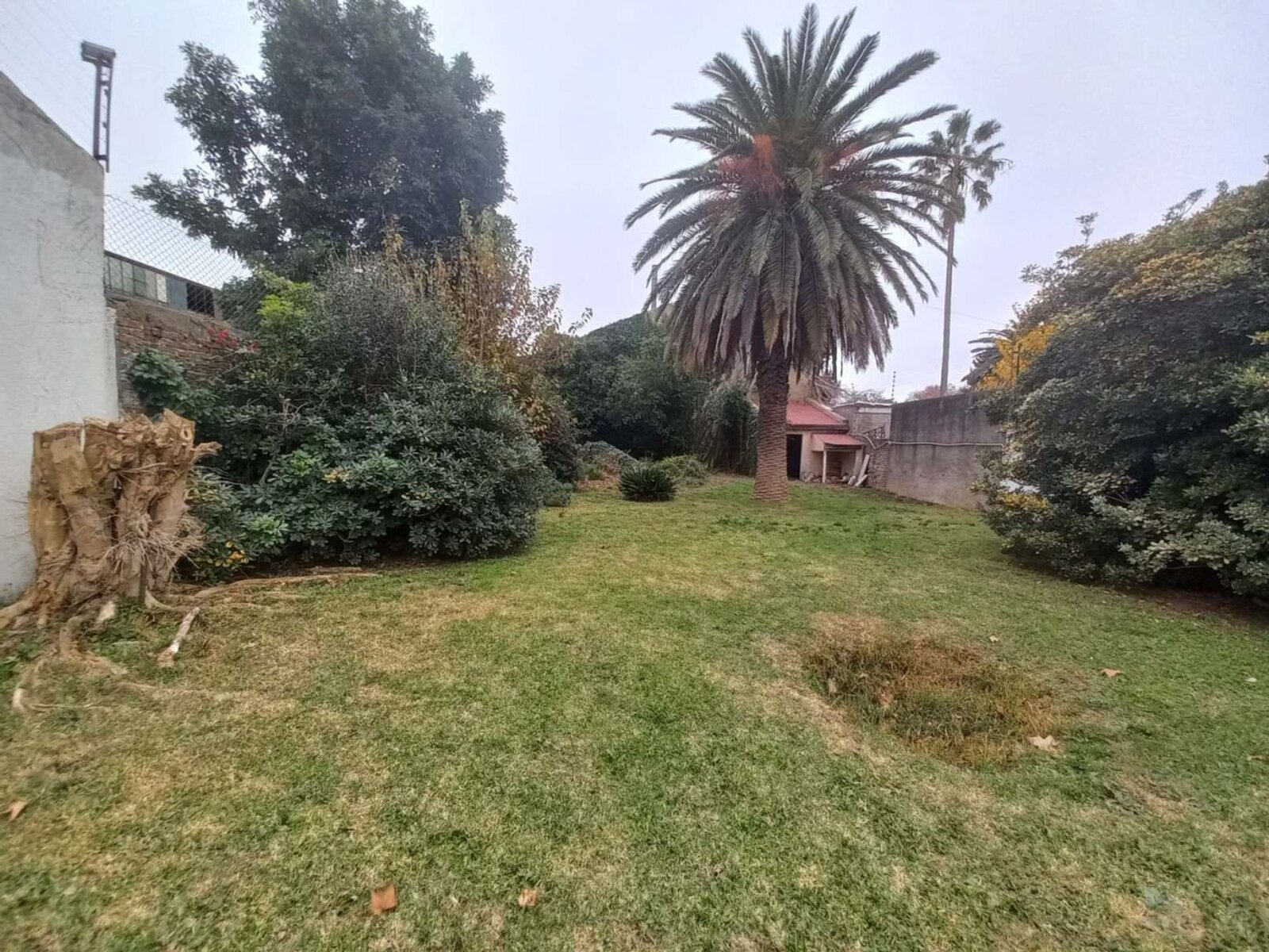 image 31