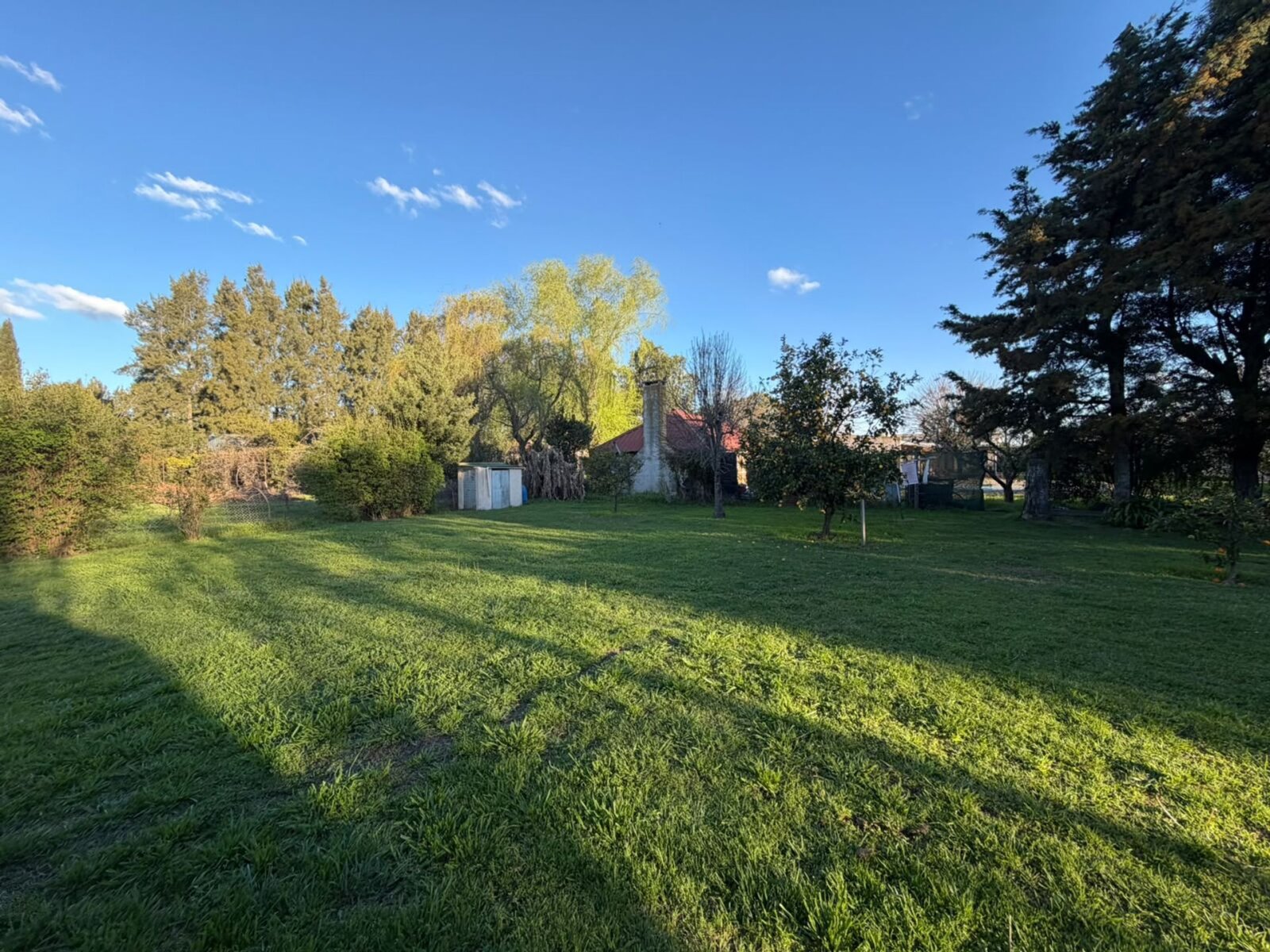 image 19