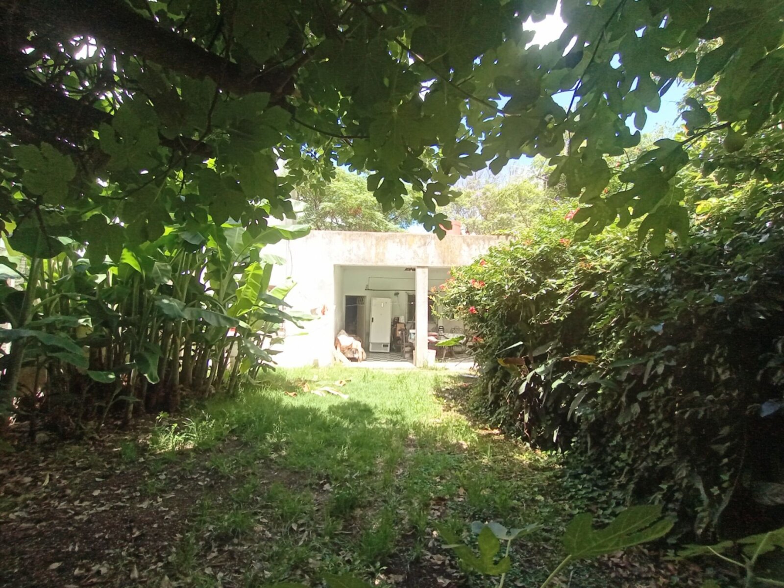 image 13