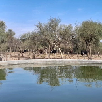 Campo Ganadero de 1800 hectareas, depto Minas