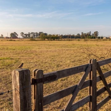 Terreno en venta 1 hectárea sobre asfalto en Chascomús