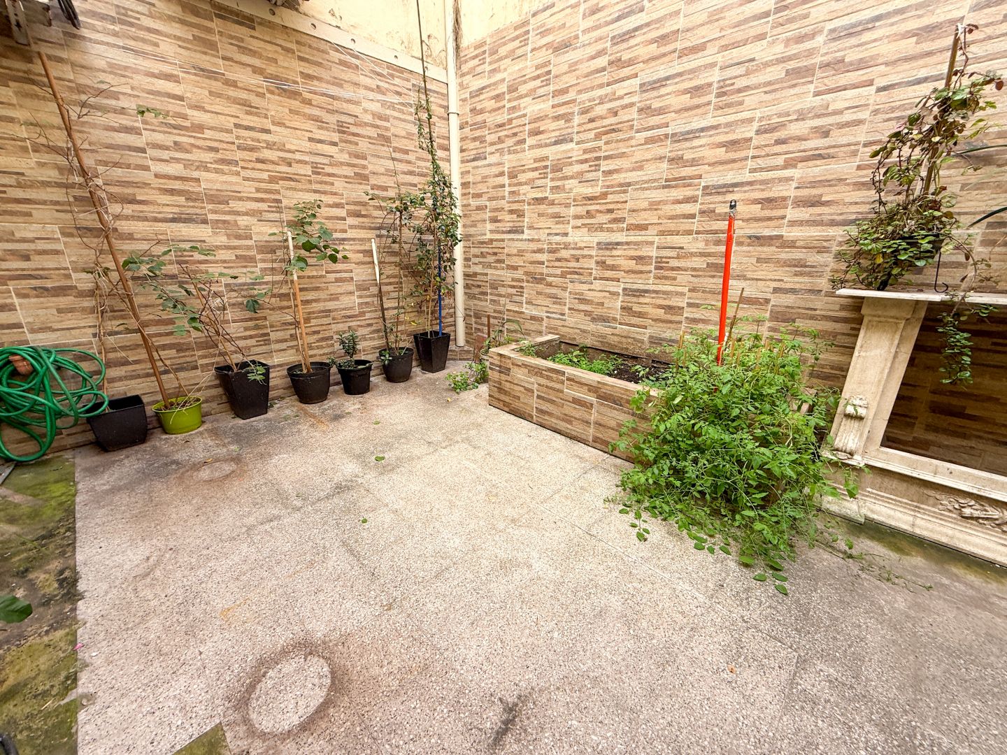 image 26