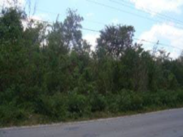 terreno turistico en cozumel