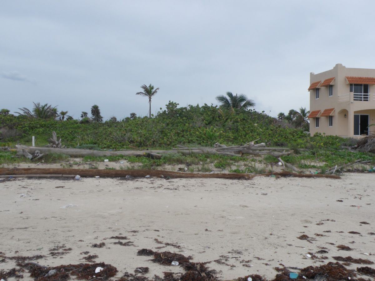 TERRENO FRENTE AL MAR