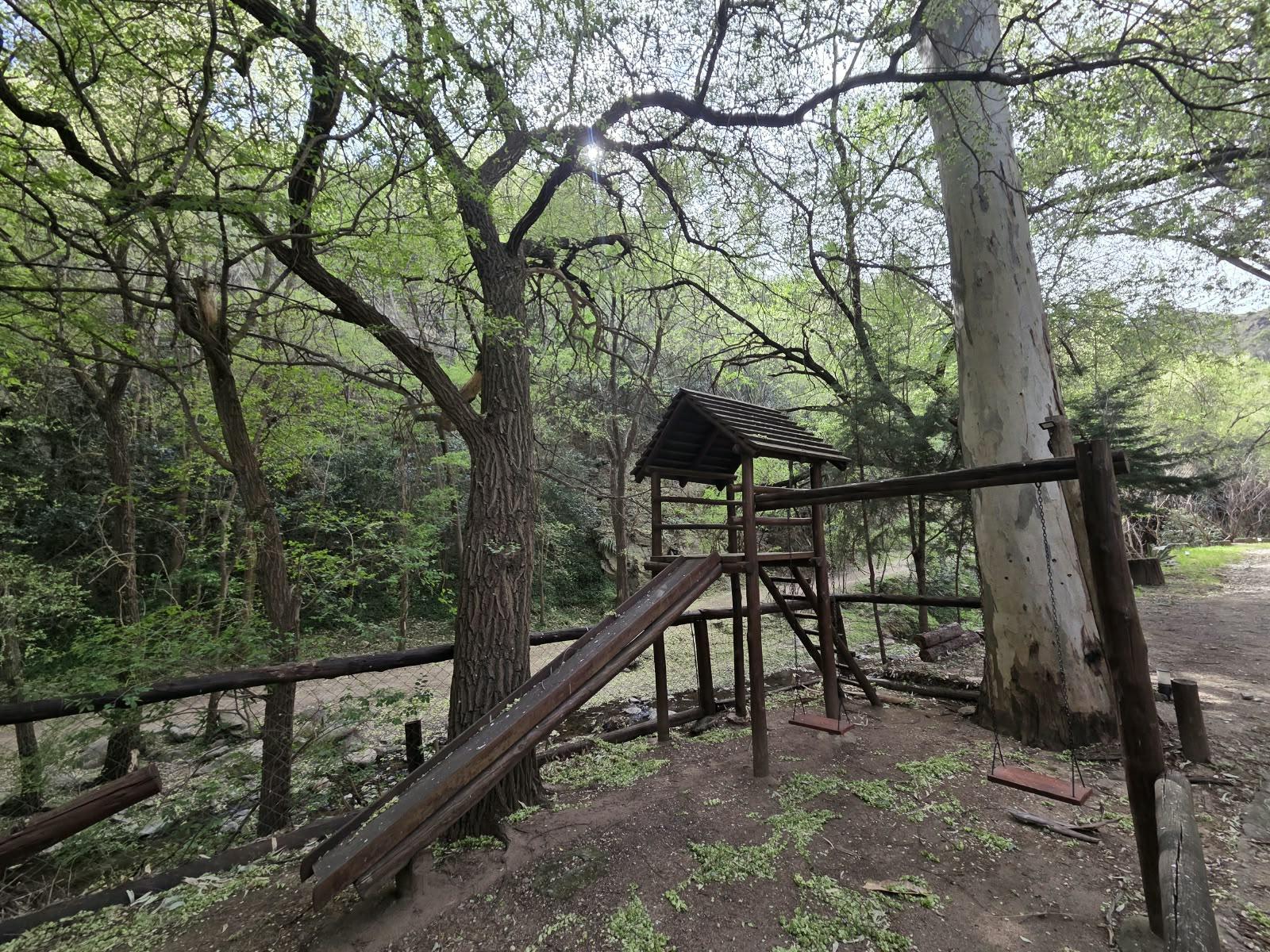image 32