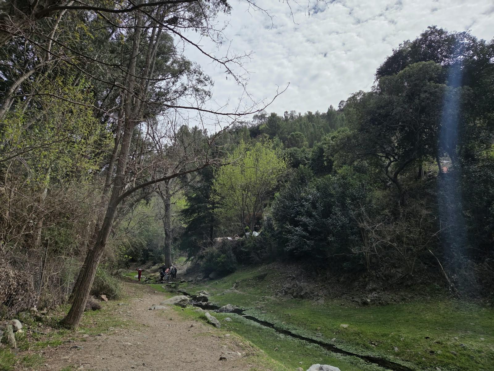 image 36