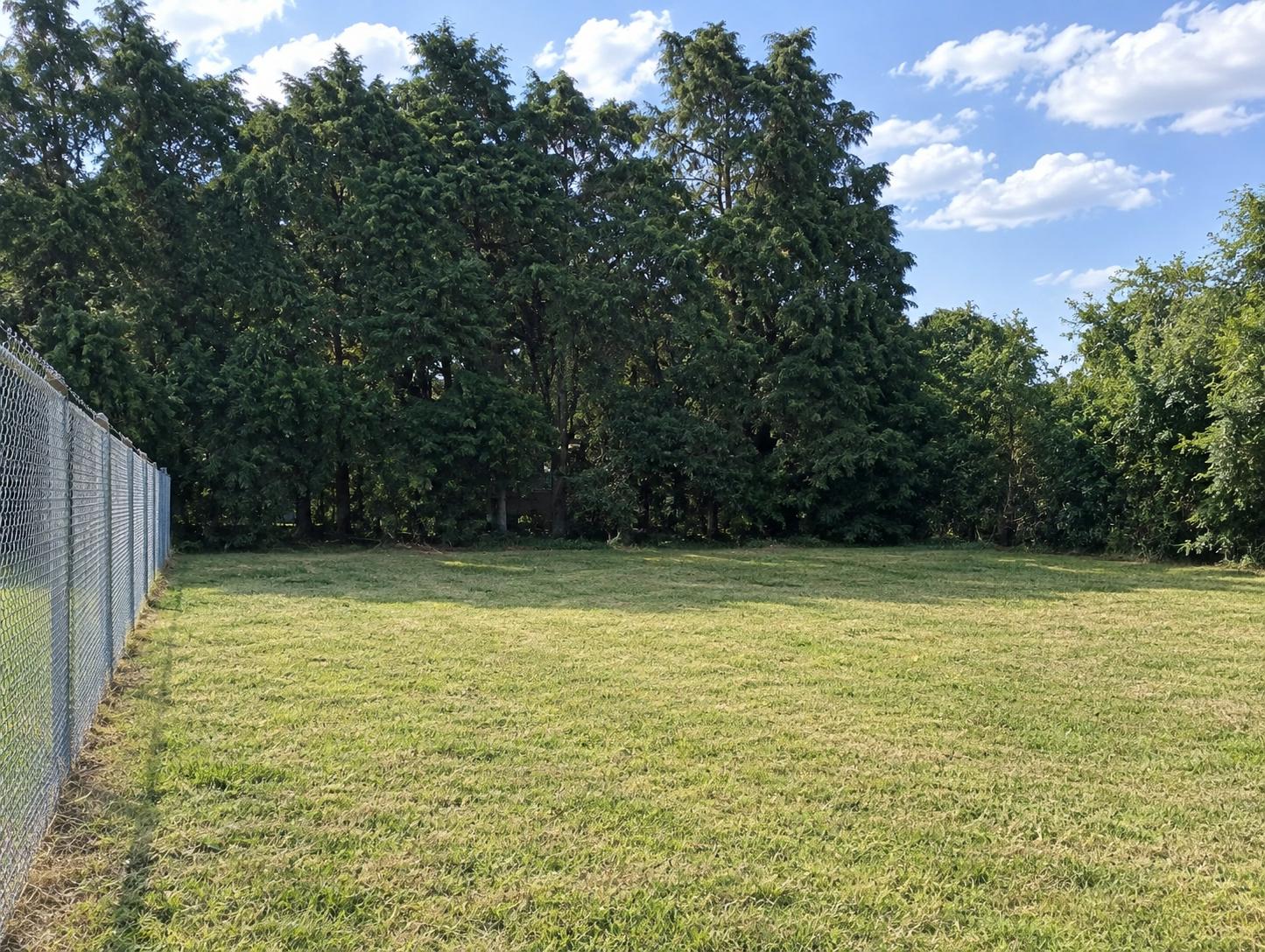 image 14