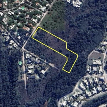 Imponente terreno  en La Carolina  con potencial para housing.