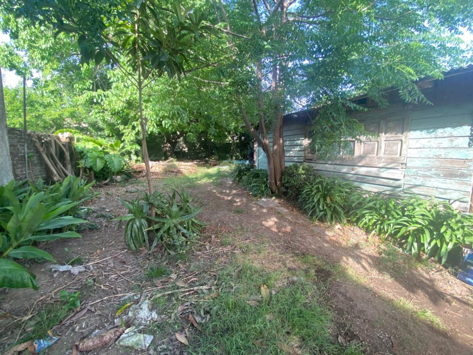 image 14