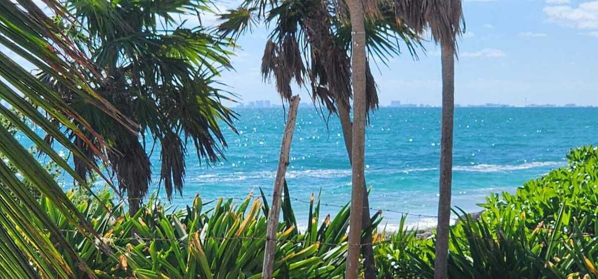 25 METROS FRENTE AL MAR
