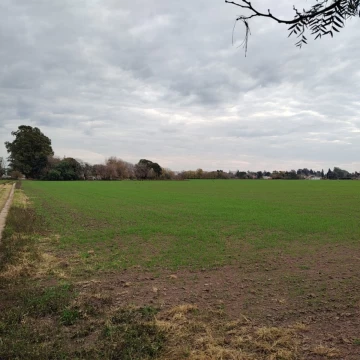 Campo en venta en La Campo 12.5 Hectareas frente a Barrio Floresta