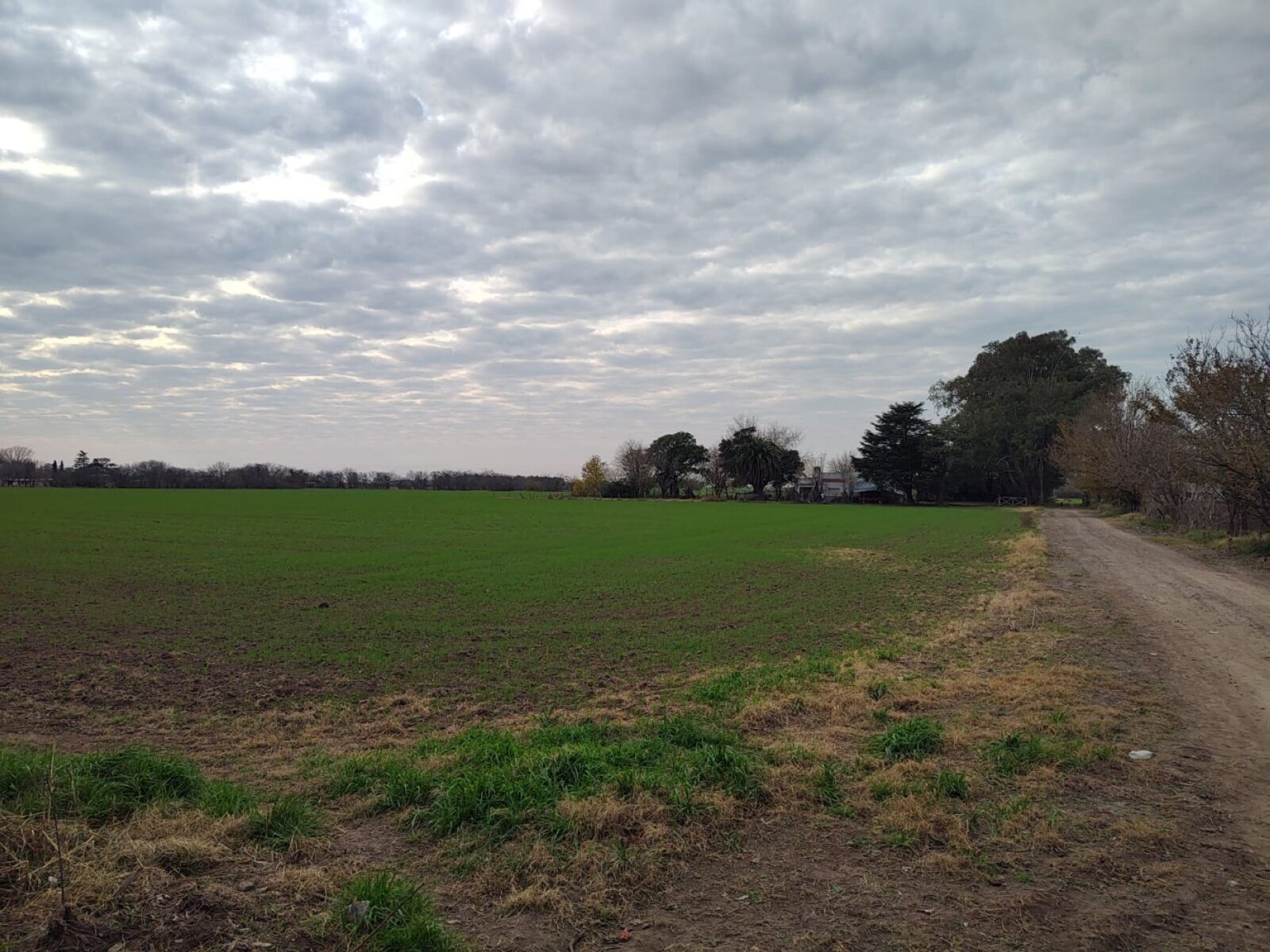 image 13