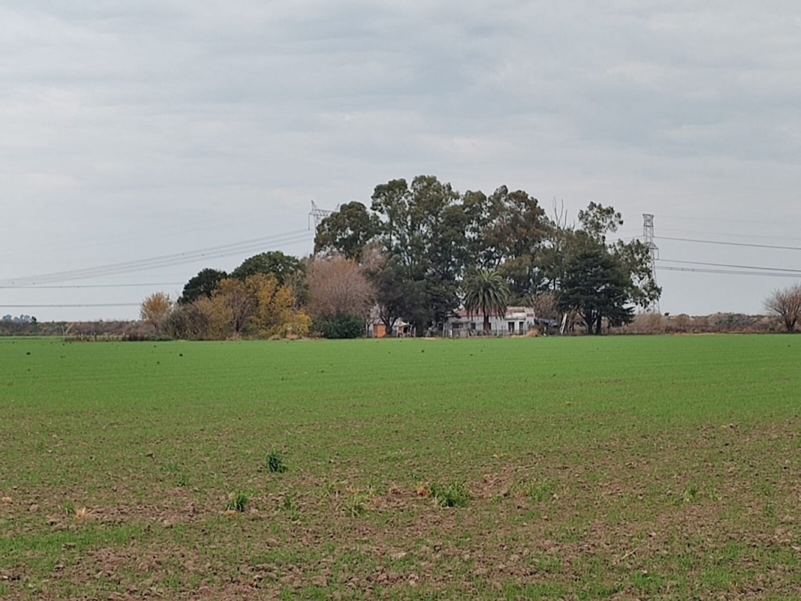 image 15