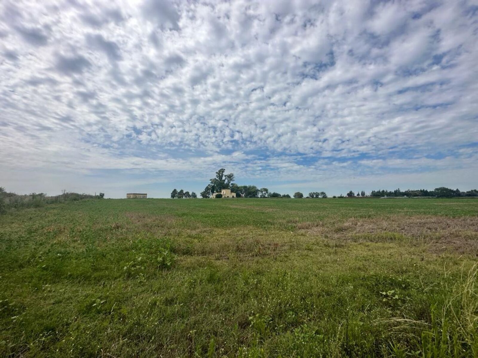 image 16