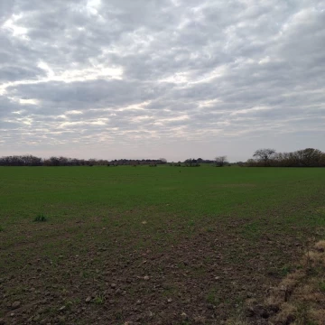 Campo en venta en Parcela 1207-E 1207 E