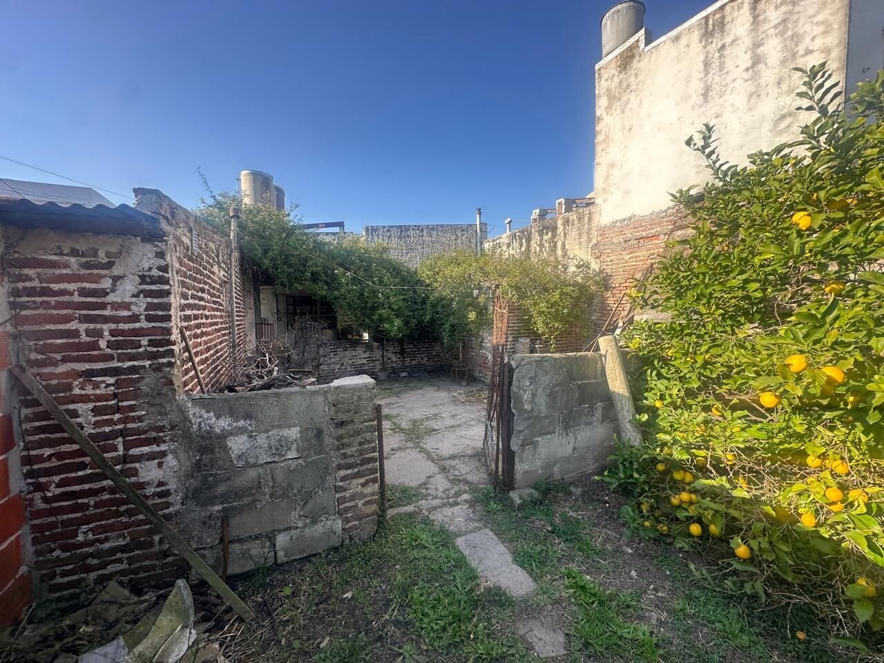 image 18