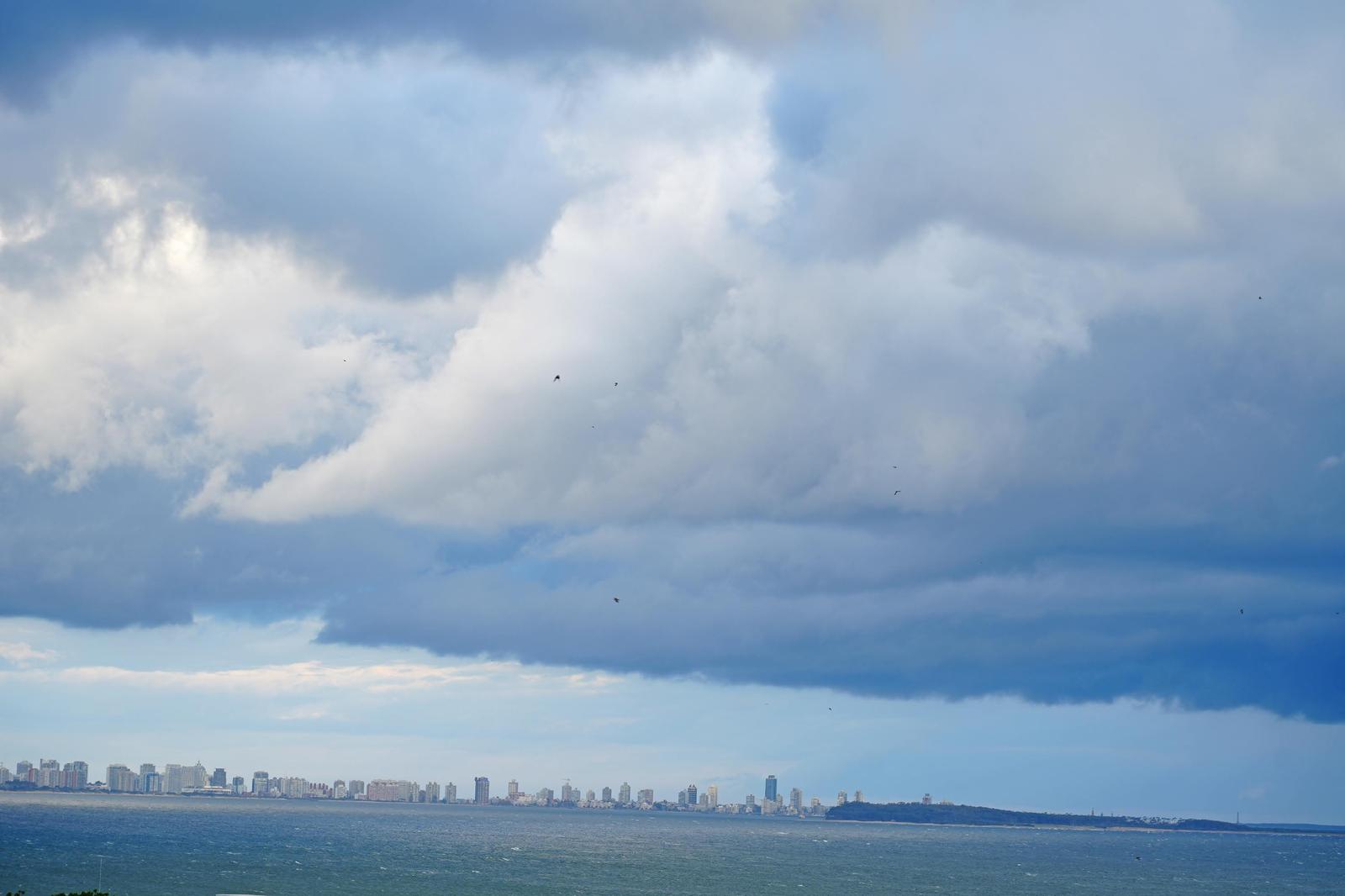 image 96
