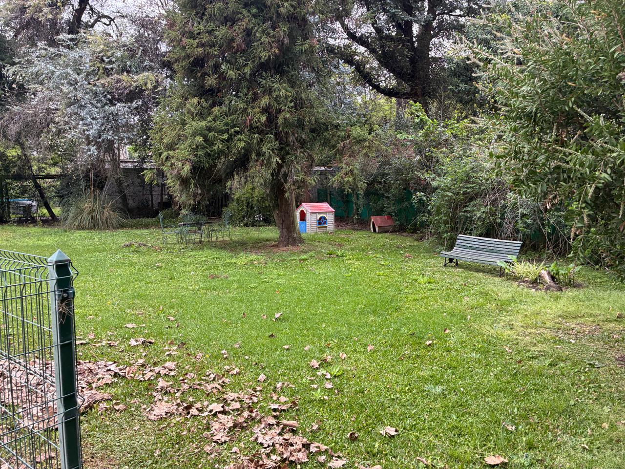 image 29