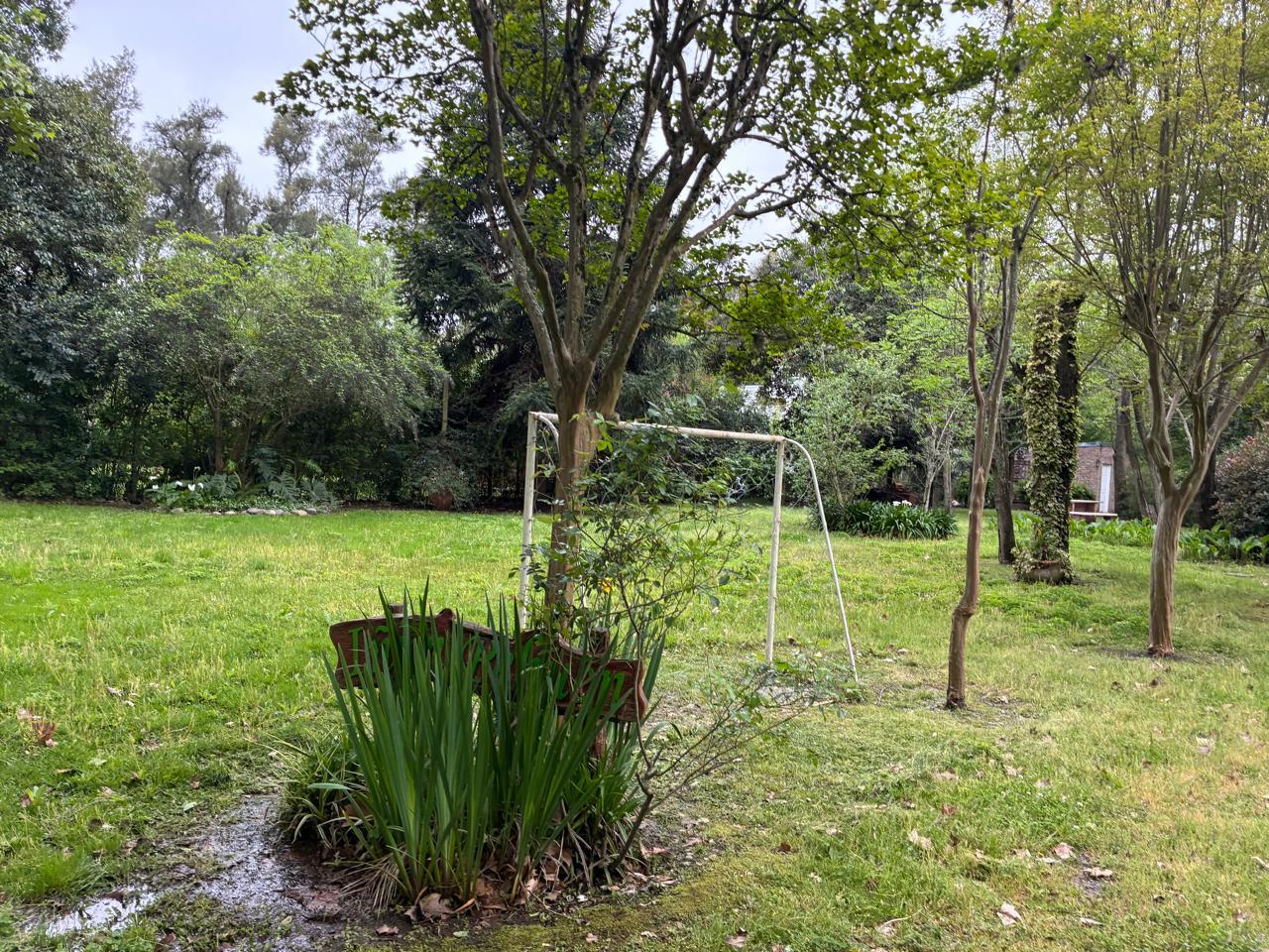 image 31