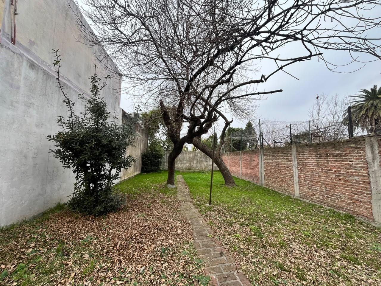 image 33