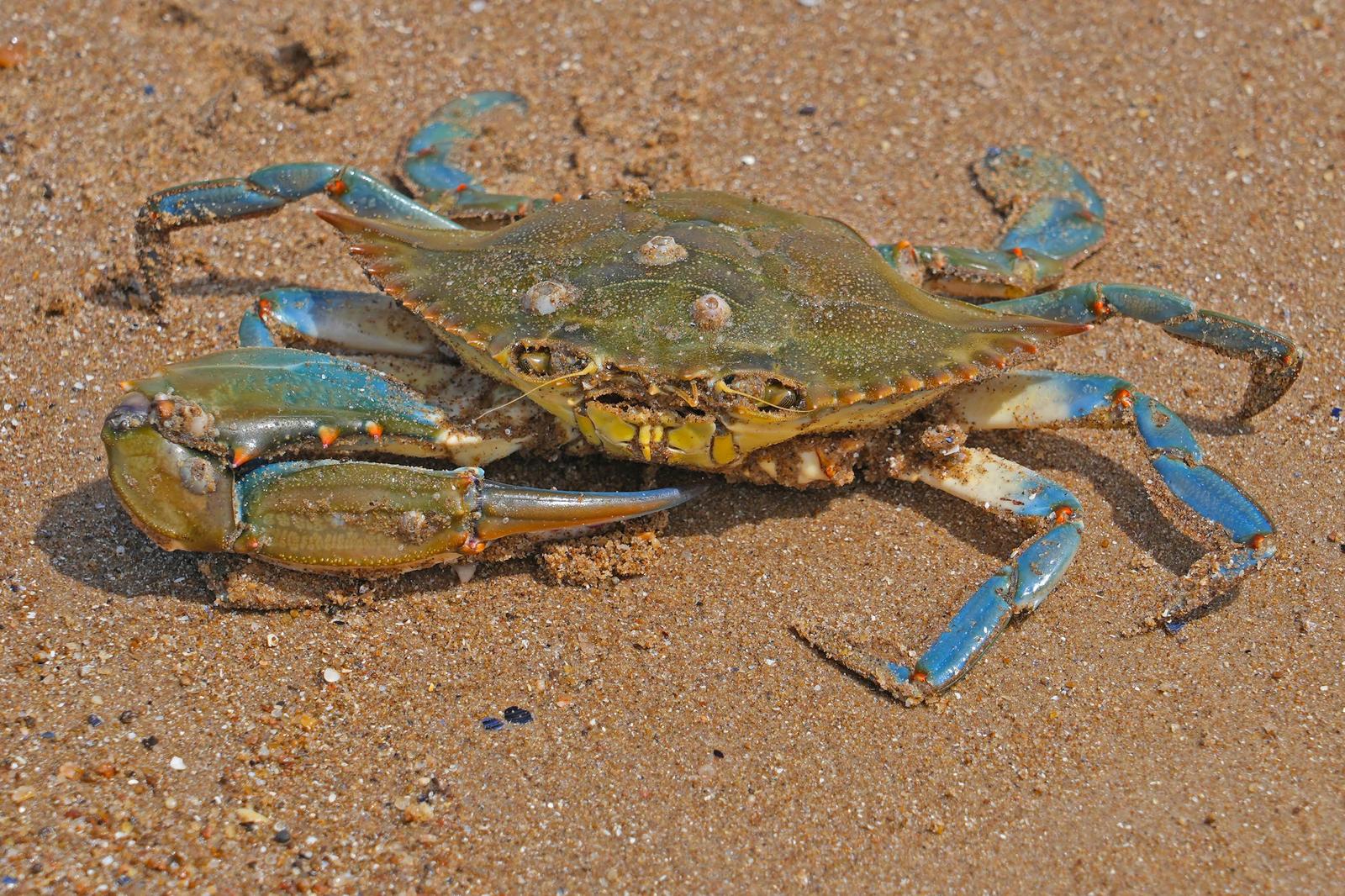 image 103