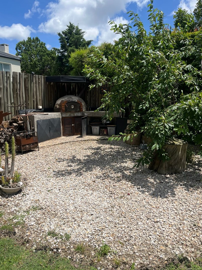image 14