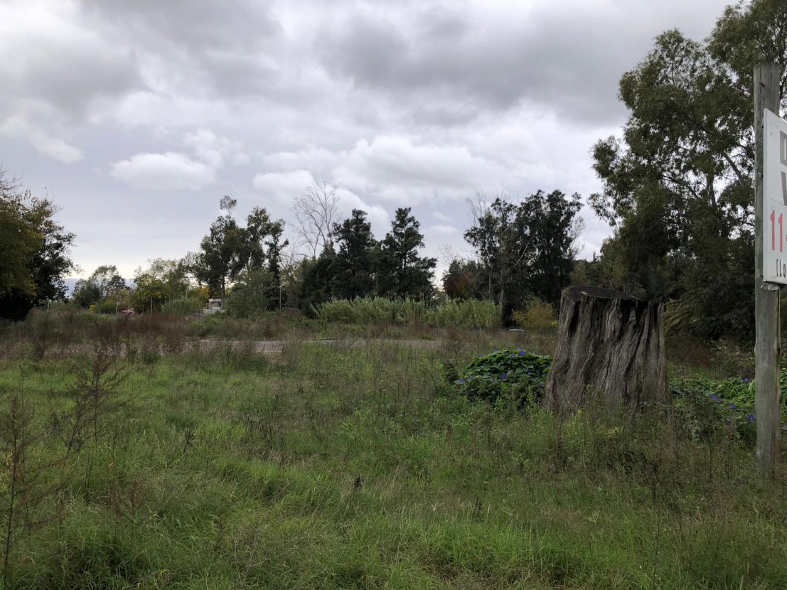 image 29
