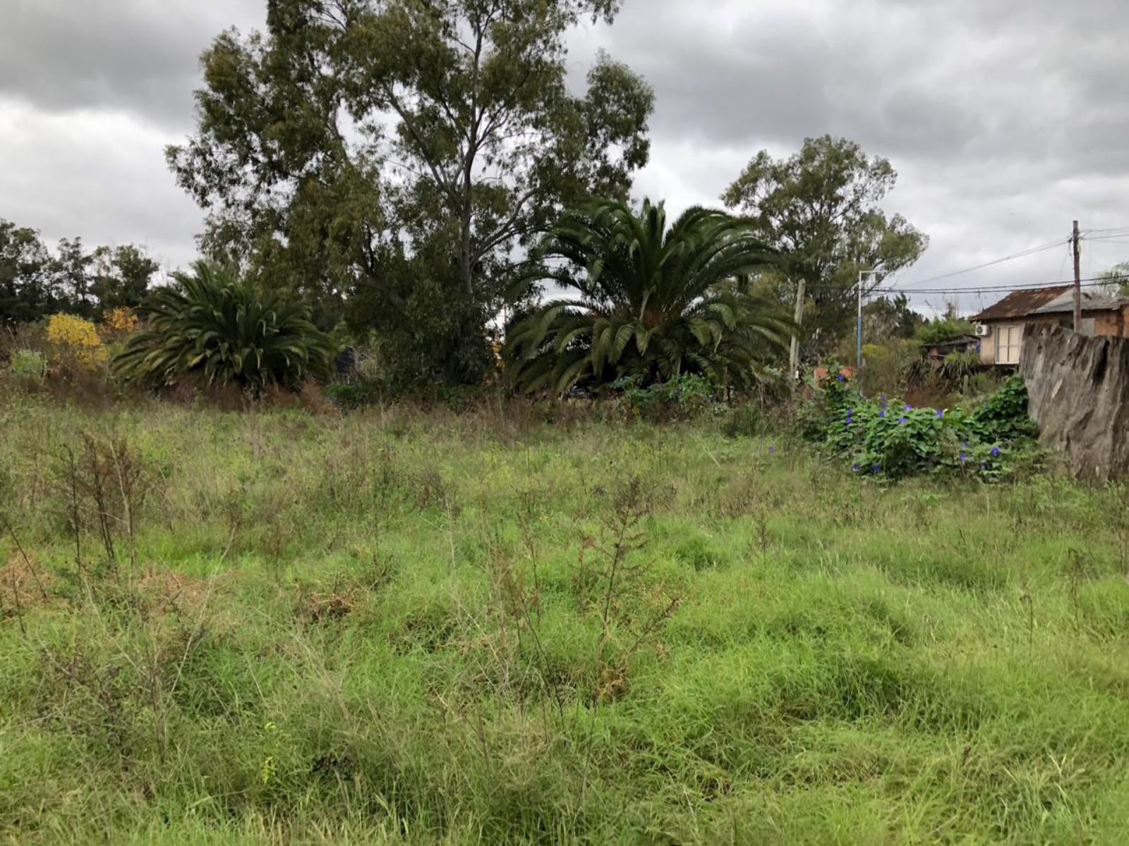 image 30