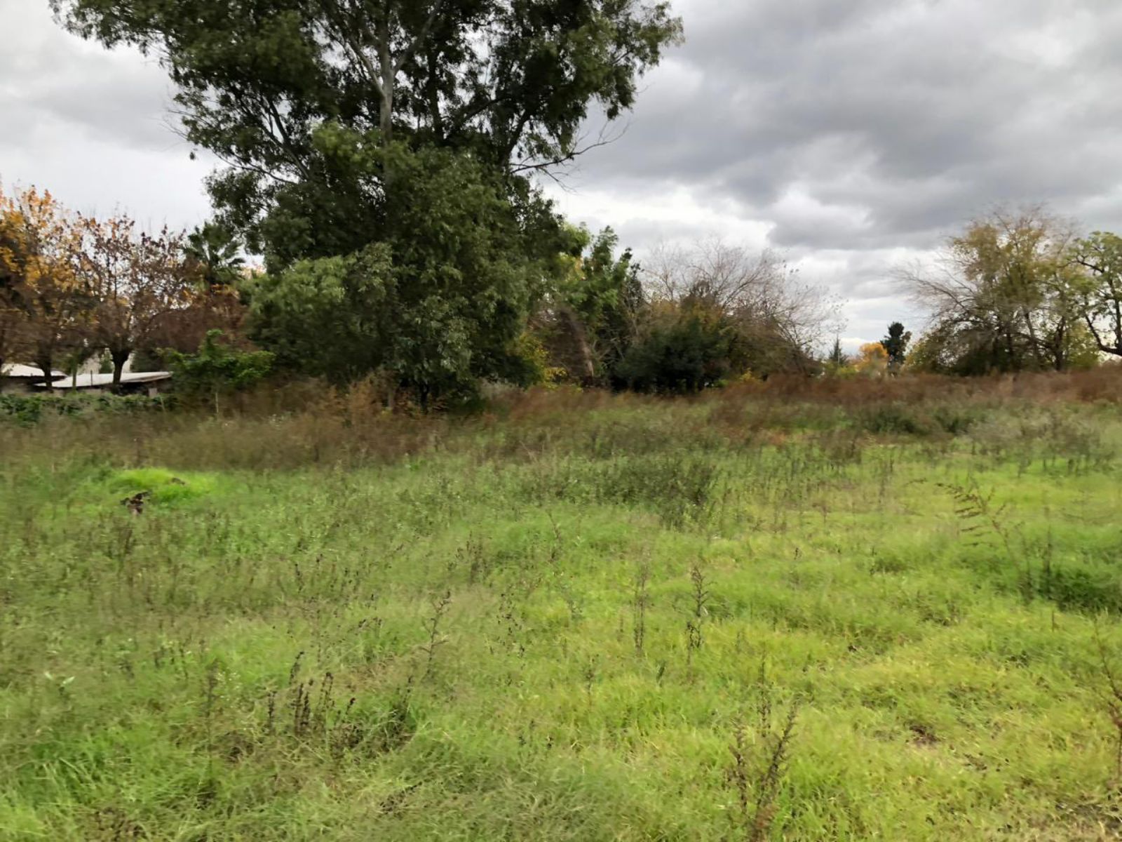 image 31