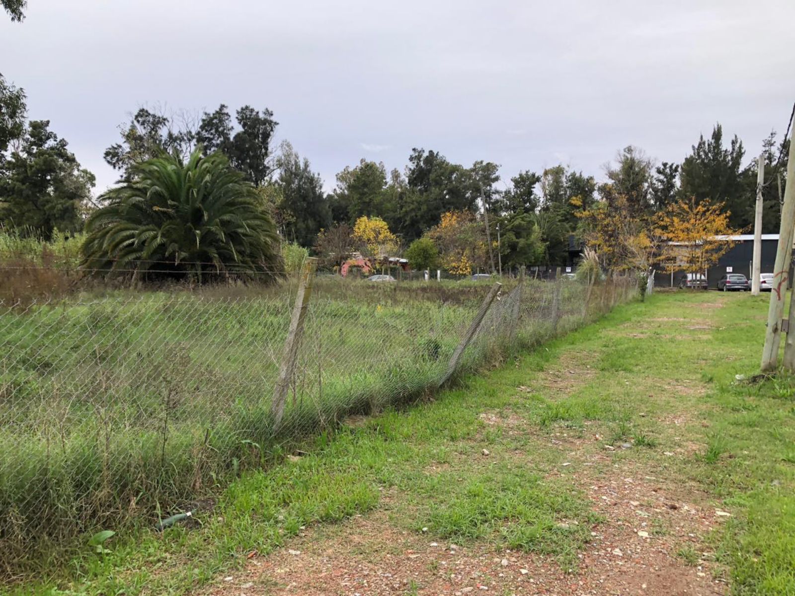 image 15