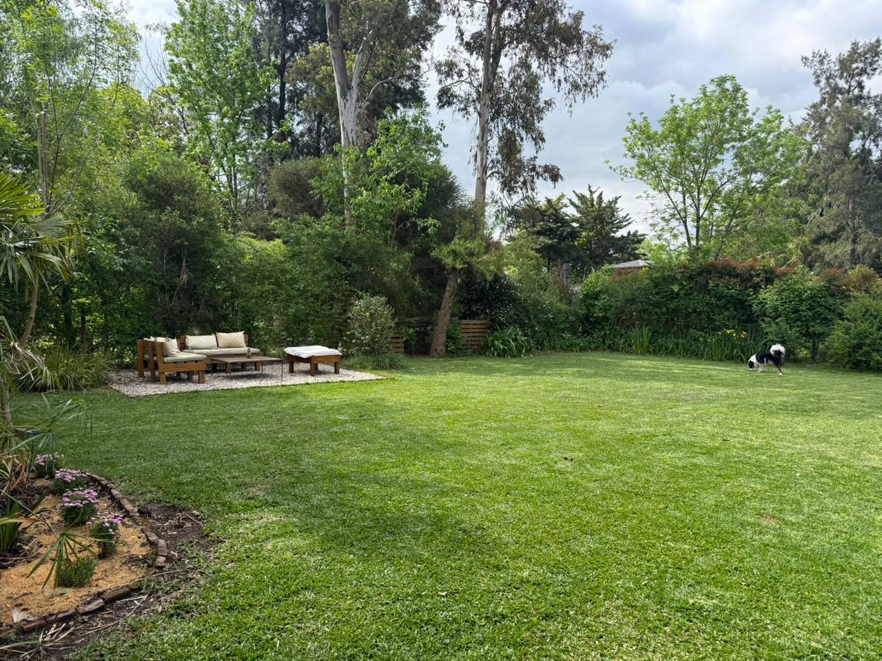 image 35