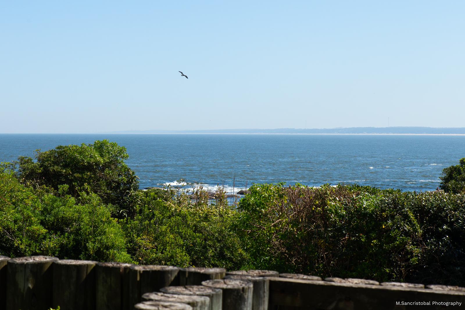 image 27