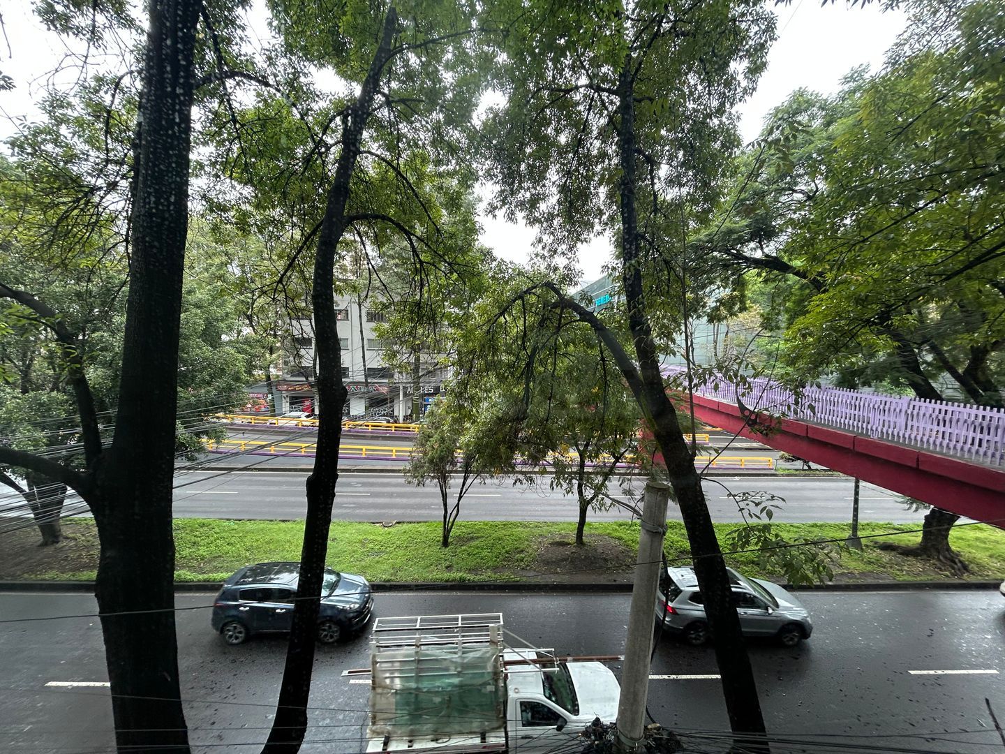 IMG_7821.jpeg