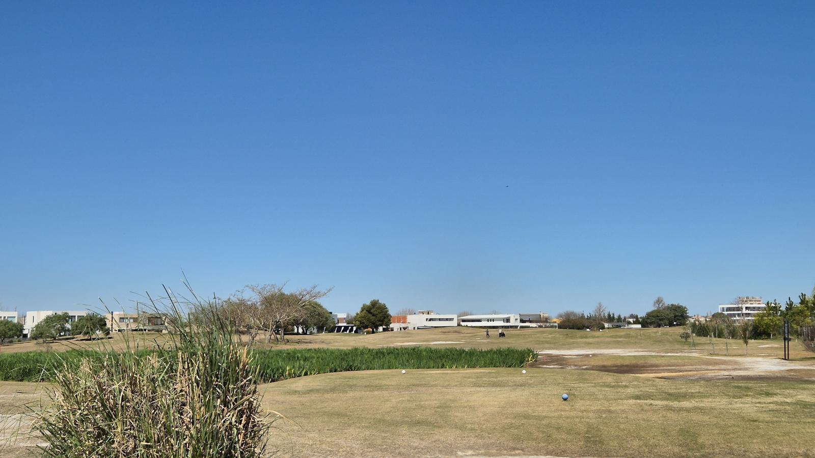 image 43