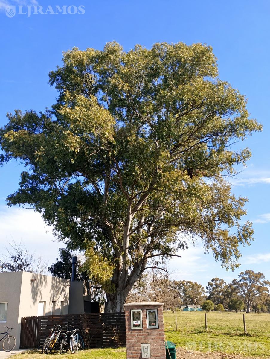 image 38