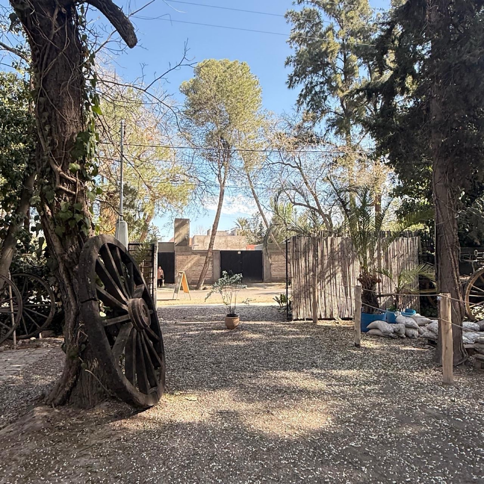 image 14